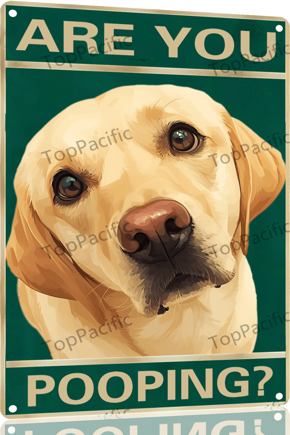 TopPacific Labrador Retriever Funny Tin Signs Retro Funny Sign Are You Pooping Bar Man Cave Wall Decor Gifts Funny Bathroom Decor Quote Sign Wall Decor 12x8 Inch